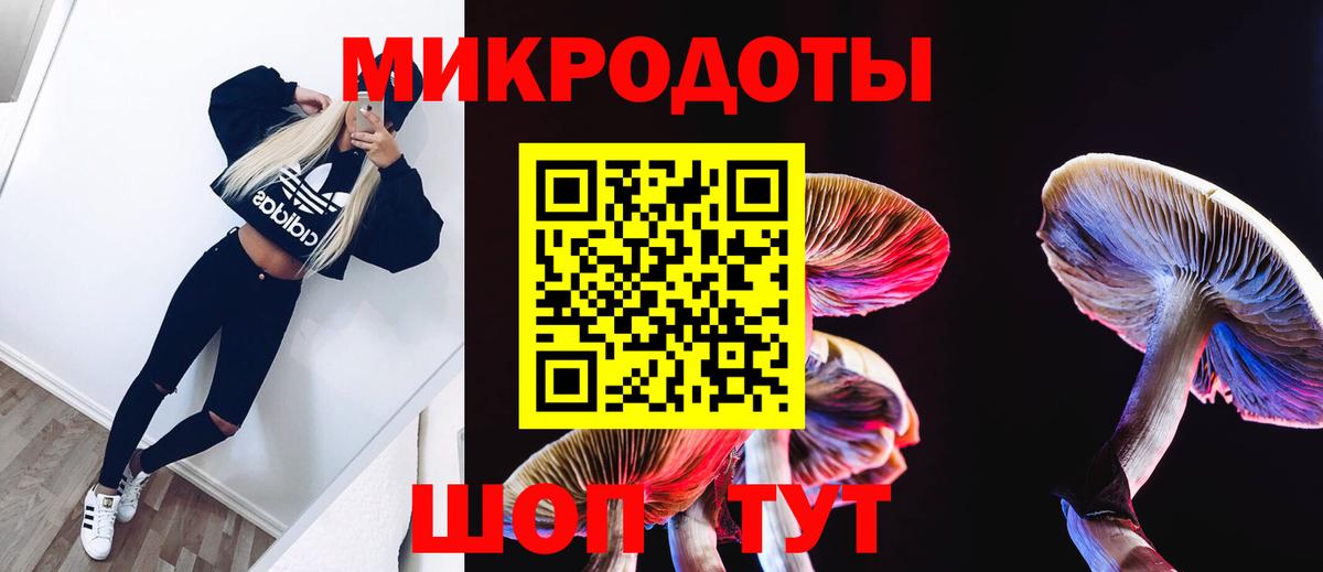 Галлюциногенные грибы Psilocybe Усинск